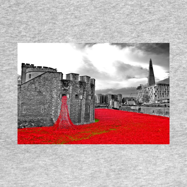 Red Poppies At The Tower Of London by AndyEvansPhotos